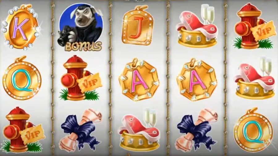 Diamond dogs slot