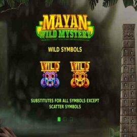 MAYAN WILD MYSTERY REVIEW