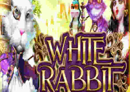 WHITE RABBIT MEGAWAYS SLOT REVIEW