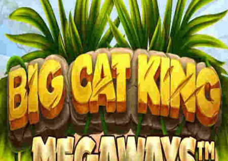 BIG CAT KING MEGAWAYS SLOT REVIEW