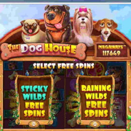 THE DOG HOUSE MEGAWAYS SLOT REVIEW