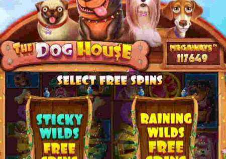 THE DOG HOUSE MEGAWAYS SLOT REVIEW