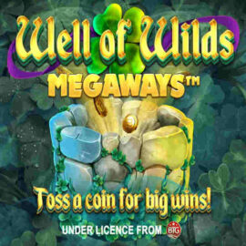 WELL OF WILDS MEGAWAYS SLOT REVIEW