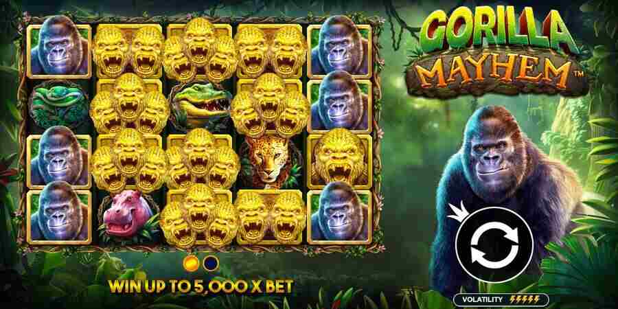 Gorilla Mayhem slot real money