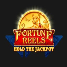 FORTUNE REELS SLOT REVIEW