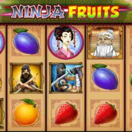 NINJA FRUITS SLOT REVIEW