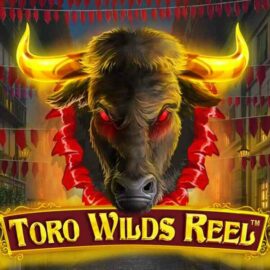 TORO WILDS REEL SLOT REVIEW